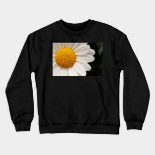 Marguerite Crewneck Sweatshirt